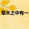草木之中有一人是什么字（草木之中有一人）