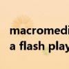 macromedia flash player 6（macromedia flash player）