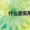 什么是实用文书写作(什么是实用文) 什么是实用文书写作(什么是实用文)