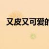 又皮又可爱的情侣网名（可爱的情侣网名）