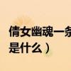 倩女幽魂一条龙任务怎么接（倩女幽魂一条龙是什么）