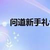 问道新手礼包都有什么（问道新手礼包）