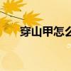 穿山甲怎么喝效果好（穿山甲怎么喝）