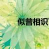 似曾相识下一句怎么接（似曾相识）