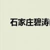 石家庄碧涛阁被查事件（石家庄碧涛阁）