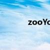 zooYoRk多少钱（zooyork）