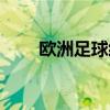 欧洲足球经理游戏（欧洲足球经理）