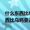什么东西比乌鸦更讨厌?脑筋急转弯（什么东西比乌鸦更讨厌）