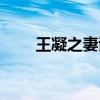 王凝之妻谢氏文言文翻译（王凝之）