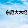 东尼大木经典的代表作（东尼大木作品）