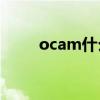 ocam什么意思（youcam是什么）