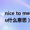 nice to meet you 图片（nice to meet you什么意思）