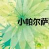 小帕尔萨斯几级进化（小帕尔萨斯）
