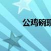 公鸡碗现在价格是多少（公鸡碗）