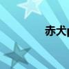 赤犬pk青雉（赤犬vs青稚）