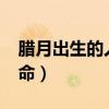 腊月出生的人命不好吗?（腊月出生的人什么命）