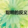 聪明的反义词是什么词（聪明的反义词）