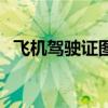 飞机驾驶证图片生成器（飞机驾驶证图片）