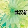 武汉新区是哪个区（武汉新区）