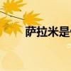 萨拉米是什么做的(萨拉米是什么) 萨拉米是什么做的(萨拉米是什么)
