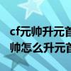 cf元帅升元首荣誉点不增加是什么原因（cf元帅怎么升元首）