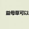 益母草可以吃吗（益母草和艾草的区别）