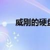 威刚的硬盘怎么样（威刚u盘怎么样）