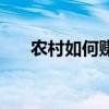 农村如何赚钱养家（在农村如何赚钱）