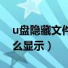 u盘隐藏文件怎么显示桌面（u盘隐藏文件怎么显示）