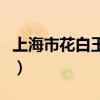 上海市花白玉兰的象征意义（上海市花白玉兰）
