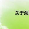 关于海的文案（关于海的诗句）