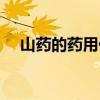 山药的药用价值论文（山药的药用价值）