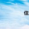 住洋楼养番狗（番狗）