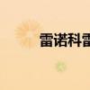 雷诺科雷嘉（雷诺科雷傲怎么样）