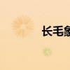 长毛象是猛犸象吗（长毛象）