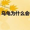 乌龟为什么会得肠胃炎（为什么会得肠胃炎）