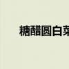 糖醋圆白菜泡菜的做法（糖醋圆白菜）