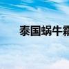 泰国蜗牛霜有几个牌子（泰国蜗牛霜）