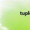 tuple乒乓球胶皮（tuple）