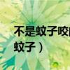不是蚊子咬的包 很痒 这是什么东西?（不是蚊子）