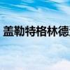 盖勒特格林德沃与伏地魔（盖勒特格林德沃）