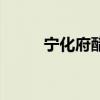 宁化府醋厂在什么位置（宁化府）