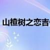 山楂树之恋吉他谱扫弦（山楂树之恋吉他谱）