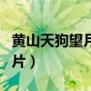 黄山天狗望月的图片大全（黄山天狗望月的图片）