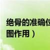 绝骨的准确位置图作用功效（绝骨的准确位置图作用）
