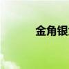 金角银角被谁杀了（金角银角）