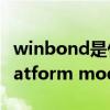 winbond是什么芯片(winbond trusted platform module) winbond是什么芯片(winbond trusted platform module)