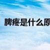 脾疼是什么原因?（脾痛是什么原因引起的）