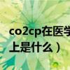 co2cp在医学上是什么正常值（co2cp在医学上是什么）