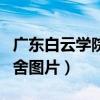 广东白云学院宿舍图片高清（广东白云学院宿舍图片）